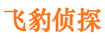 小河出轨取证